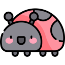 Kso Visual Tidy 2019